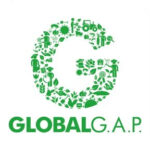 logo3